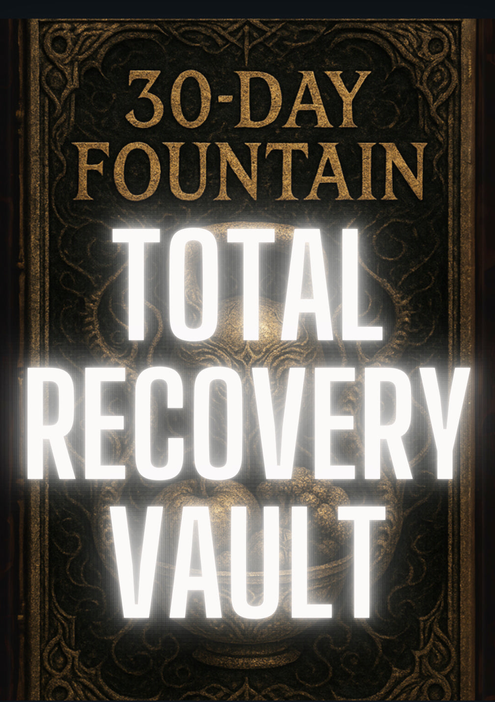 TOTAL RECOVERY VAULT